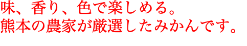 味、香り、色で楽しめる。 熊本の農家が厳選したみかんです。