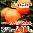 /川田みかん　お試し用