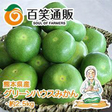 /グリーンハウスみかん　2.5kg