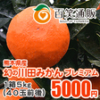 /川田みかん プレミアム