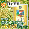 /熊本県産　森のくまさん5kg×2　プレミアム