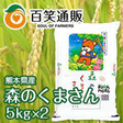 /熊本県産　森のくまさん5kg×2